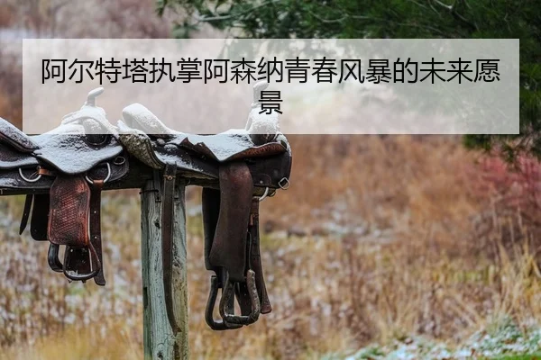 阿尔特塔执掌阿森纳青春风暴的未来愿景